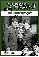 Laurel & Hardy - Die Teufelsbrüder DVD-Cover
