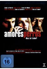 Amores perros DVD-Cover