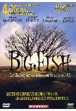 Big Fish DVD-Cover