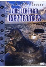 Das Leben im Wattenmeer DVD-Cover
