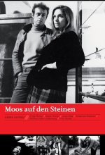 Moos auf den Steinen / Edition der Standard DVD-Cover