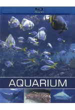 Aquarium Blu-ray-Cover