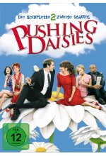 Pushing Daisies - Staffel 2  [4 DVDs] DVD-Cover