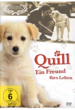 Quill - Ein Freund fürs Leben DVD-Cover