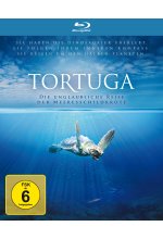 Tortuga - Die unglaubliche Reise der Meeresschildkröte - Steelbook Blu-ray-Cover
