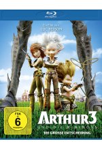 Arthur und die Minimoys 3 - Die grosse Entscheidung Blu-ray-Cover