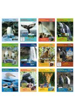 Die schönsten Naturreisen der Welt - Paket  [12 DVDs] DVD-Cover