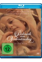 Picknick am Valentinstag Blu-ray-Cover