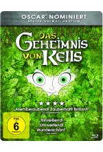 Das Geheimnis von Kells DVD-Cover
