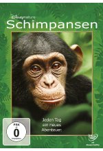 Schimpansen DVD-Cover