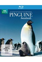 Pinguine Hautnah Blu-ray-Cover