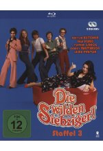Die wilden Siebziger! - Staffel 3  [2 BRs] Blu-ray-Cover