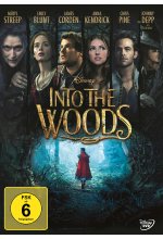 Into the Woods DVD-Cover