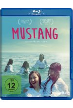Mustang Blu-ray-Cover