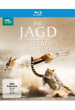 Die Jagd - Auf Leben und Tod  [2 BRs] Blu-ray-Cover