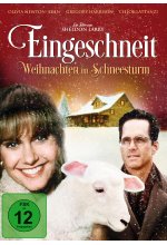 Eingeschneit - Weihnachten im Schneesturm DVD-Cover