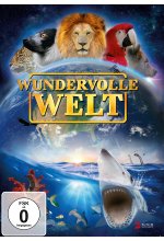 Wundervolle Welt DVD-Cover