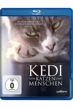 Kedi - Von Katzen und Menschen Blu-ray-Cover
