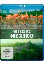 Wildes Mexiko  (BBC Earth) Blu-ray-Cover