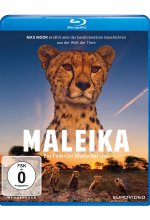 Maleika Blu-ray-Cover