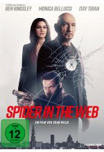 Spider in the Web DVD-Cover