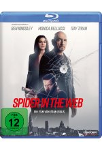 Spider in the Web Blu-ray-Cover