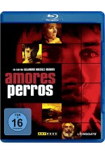 Amores Perros Blu-ray-Cover