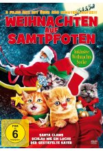 Weihnachten auf Samtpfoten (mit Weihnachtsstrumpf) DVD-Cover