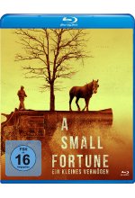 A Small Fortune - Ein kleines Vermögen Blu-ray-Cover
