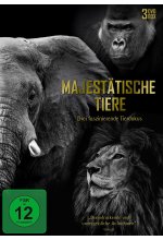 Majestätische Tiere - Drei faszinierende Tierdokus  [3 DVDs] DVD-Cover