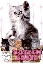 Katzenbabys DVD-Cover