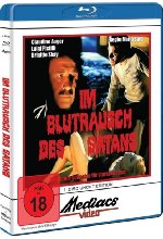 IM BLUTRAUSCH DES SATANS Blu-ray-Cover