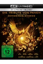Die Tribute von Panem - The Ballad of Songbird & Snakes  (4K Ultra HD) Cover